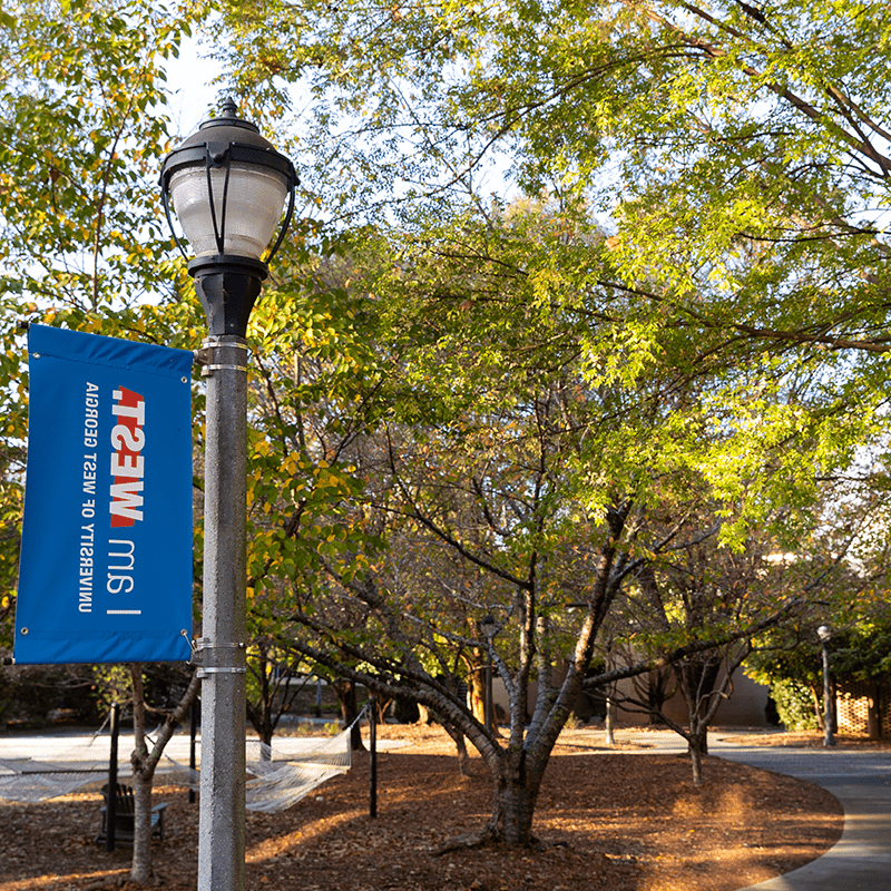 Leaves fall on campus